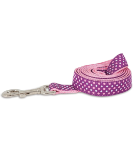 Petmate Aspen Pet Ribbon Overlay Dog Leash 1"X6' Dots Pink