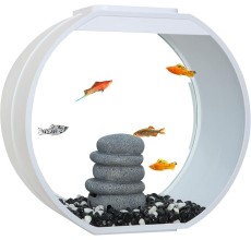 AA Aquarium Deco O Mini Designer Desktop Aquarium β 10L Circular Tank with Magic Touch LED, Hidden USB Filter, Quiet Air Pump & Easy-Clean Glass Panel | Korea-Made White