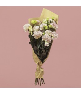 Lisianthus Light Pink