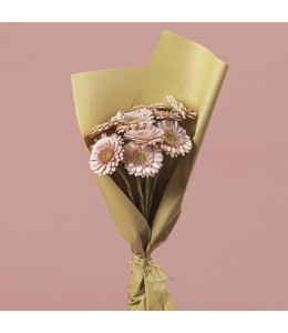 Gerbera Light Pink