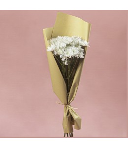 White Chrysanthemum