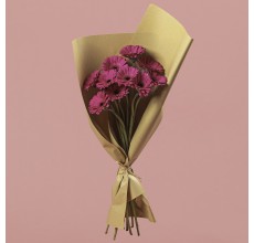 Gerbera Dark Pink