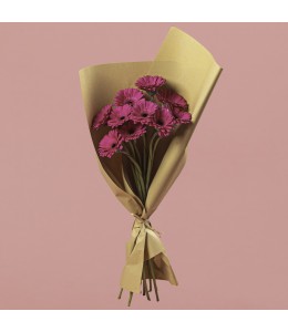Gerbera Dark Pink