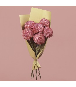 Chrysanthemum Single Head Pink