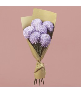Chrysanthemum Single Head Lavender