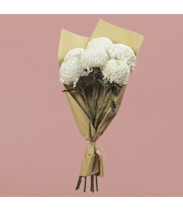 Chrysanthemum Single Head White