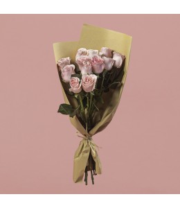 Light Pink Roses