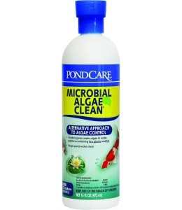 API Pond Microbial Algae Clean 16 oz