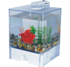 Aquabox Betta Acrylic Mini Aquarium with LED Light 15x15x14.5cm
