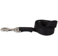 Aspen Pet Products Standard Nylon Lead, 4' x 5/8", Black