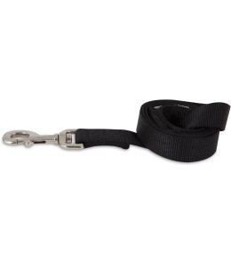 Aspen Pet Products Standard Nylon Lead, 4' x 5/8", Black