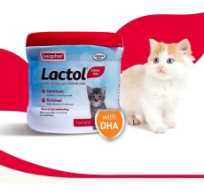Beaphar Lactol Kitten 250 g