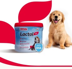 Beaphar Lactol Puppy 250 g