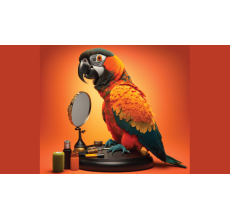 Bird Full Grooming (Mobile Grooming)