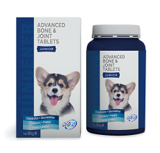 Bungener Advanced Bone and Joint Tablets-Junior 185g[Weight - 185g]