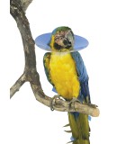 Buster Bird Collar 140mm, Pack of 10