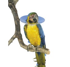 Buster Bird Collar 80mm, Pack of 10