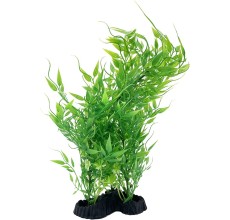 Chicos Bunch Aquatic Plants Series 8 x 12.5 Inch