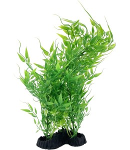 Chicos Bunch Aquatic Plants Series 8 x 12.5 Inch