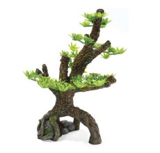 Chicos Pine Forest 18 X 8 x 17.5