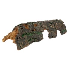 Chicos Tree Log