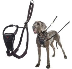Coa Halti No Pull Harness Medium