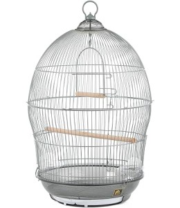 Dayang Bird Cage 48.5X48.5X76Cm