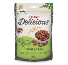 Dentalight Catnip+ Semi Moist & Soft Cat Treat 50g