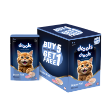 Drools Ocean Fish Mousse Cat 80gm(5+1)Pc