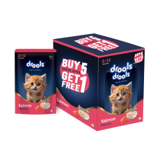 Drools Salmon Mousse Kitten 80gm (5+1) P