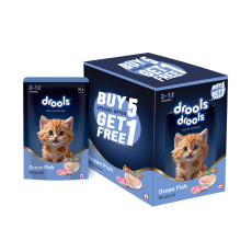 DroolsOceanFish MousseKitten80gm(5+1)Pc