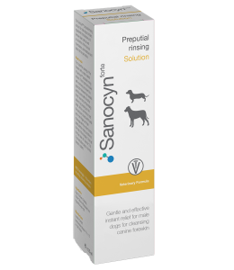 Sanocyn Dogs Preputial Rising Care - HOCL latest technology solution (75 ml) - Made in Austria