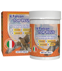 Geavet Falcon Top Plus (100 g) - Multivitamins for Training and Muscles Builder