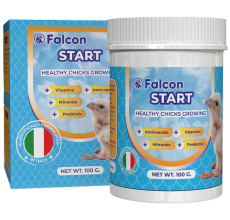 Geavet Falcon Start (100 g) - Healthy Chicks Growing
