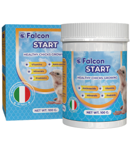 Geavet Falcon Start (100 g) - Healthy Chicks Growing