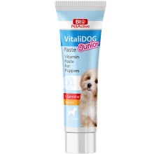 Bio PetActive Vitalidog Junior (Multivitamin Paste for Dogs) 100ml