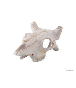 Exo Terra Buffalo Skull - Small