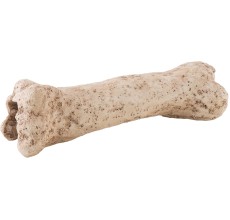 Exo Terra Dinosaur Bone