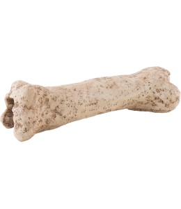 Exo Terra Dinosaur Bone