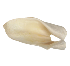 Expiring On-  06/02/2026- RedBarn  Cow Ears Wrap/Tag Chews 0.31oz/8.8g 5COUNT