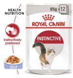 Expiring On- 17/03-  Royal Canin Feline Health Nutrition Instinctive Adult Cats Jelly (Wet Food - Pouches) 85g