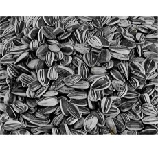 Expiring On- 23/04-  VADIGRAN  Sunflower seed small striped 2,5 kg