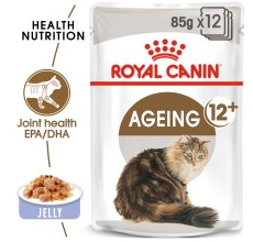 Expiring On- 27/06-  Royal Canin Feline Health Nutrition Ageing 12+ Jelly (Wet Food - Pouches) 85g