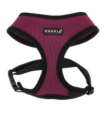 Frontier Superior Harness Purple Medium
