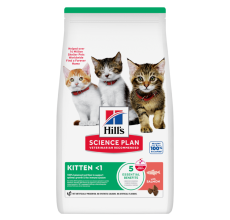 Hill’s Science Plan Kitten Food With Salmon (1.5kg)
