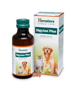 Himalaya Digyton plus 100Ml