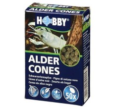 Hobby Alder Cones (50 pcs)