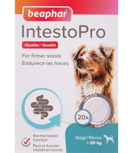 IntestoPro Anti Diarrhea Tablet Large Dog 20 tab