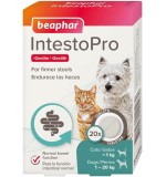 IntestoPro Anti Diarrhea Tablet Small Dog & Cat 20 tab