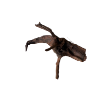 Karis Aqua Root Drift Wood-Small & Large 1pc